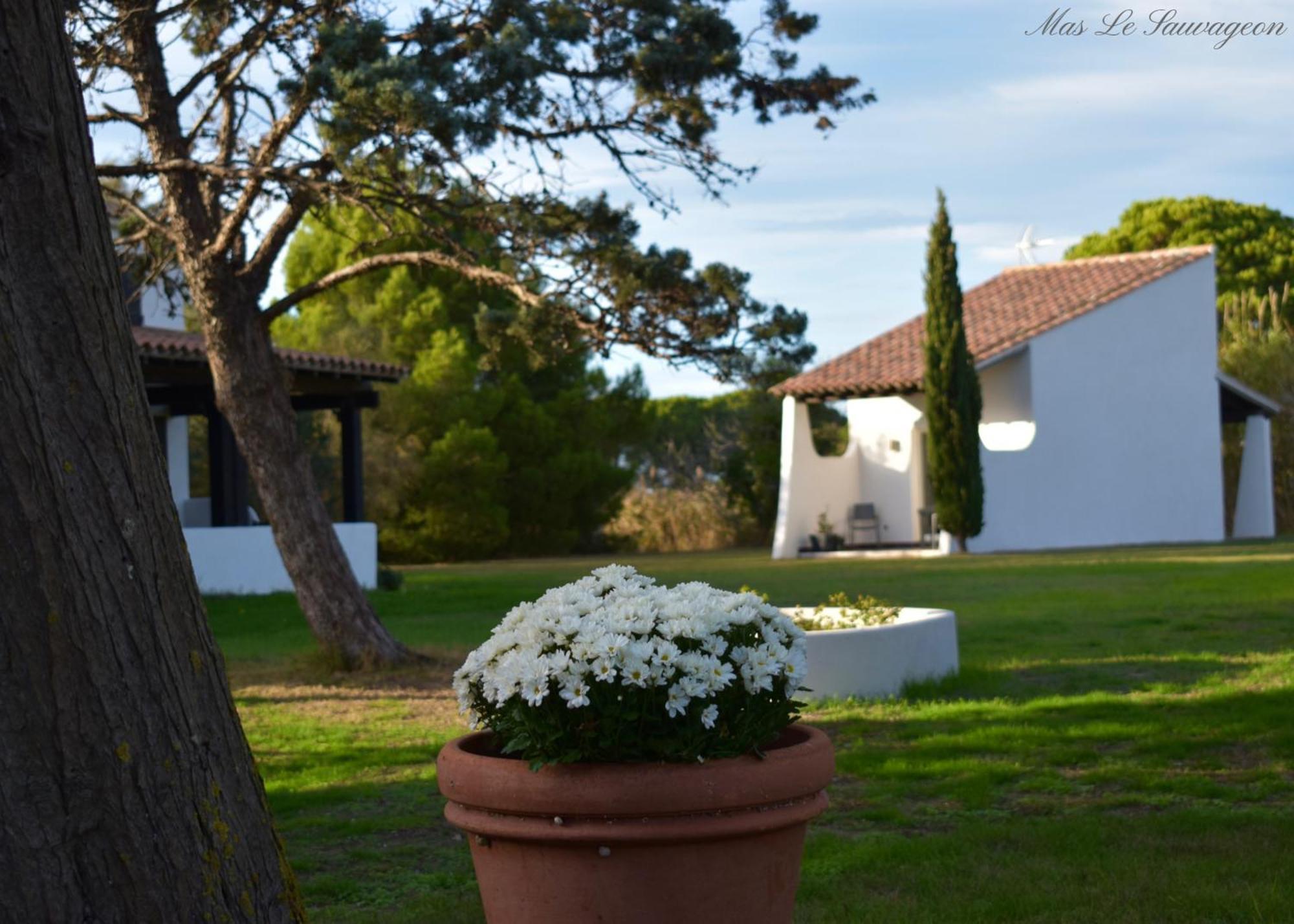 Mas Mls Saintes-Maries-de-La-Mer